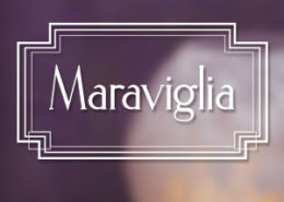 Декоративная краска CANDIS Maraviglia