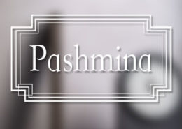 Декоративная краска CANDIS Pashmina